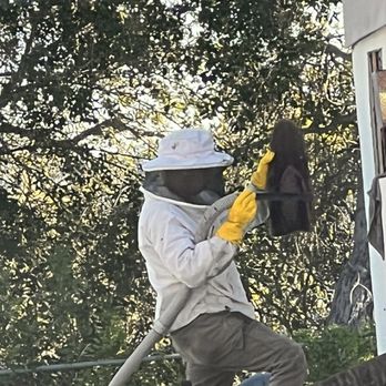 AA-Beekeeper - Vacuuming to relocate - Pest Control Near Me