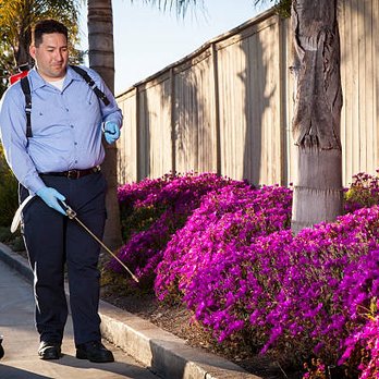 Green Armor Pest Control - Pest Control Near Me Green Armor Pest Control - Pest Control Near Me