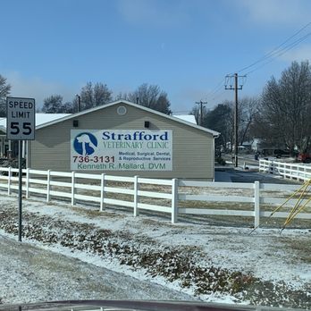 Strafford Veterinary Clinic - Veterinarians Near Me - Strafford, Missouri Strafford Veterinary Clinic - Veterinarians Near Me - Strafford, Missouri