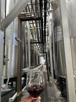 Roche Winery & Vineyards by null