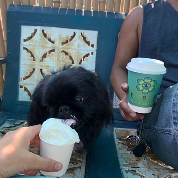 ESP Tea and Coffee - Back patio - Coffee & Tea Near Me - Alexandria, Virginia ESP Tea and Coffee - Back patio - Coffee & Tea Near Me - Alexandria, Virginia