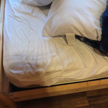 Cabins USA - Bed bugs! - Vacation Rentals Near Me - Sevierville, Tennessee Cabins USA - Bed bugs! - Vacation Rentals Near Me - Sevierville, Tennessee