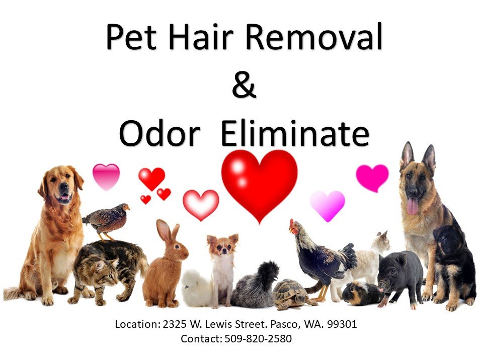 VICKVRIL GENERAL CLEANING SERVICES Updated May 2024 Request a Quote