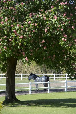 Domaine De Larchey by null