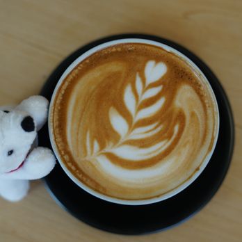 Creeds Coffee Bar - Cafes Near Me - Toronto, Ontario Creeds Coffee Bar - Cafes Near Me - Toronto, Ontario