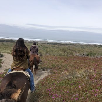 Five Brooks - Beautiful dunes painted with blooming ice plants and beach grasses - Horseback Riding Near Me - Bodega Bay, California