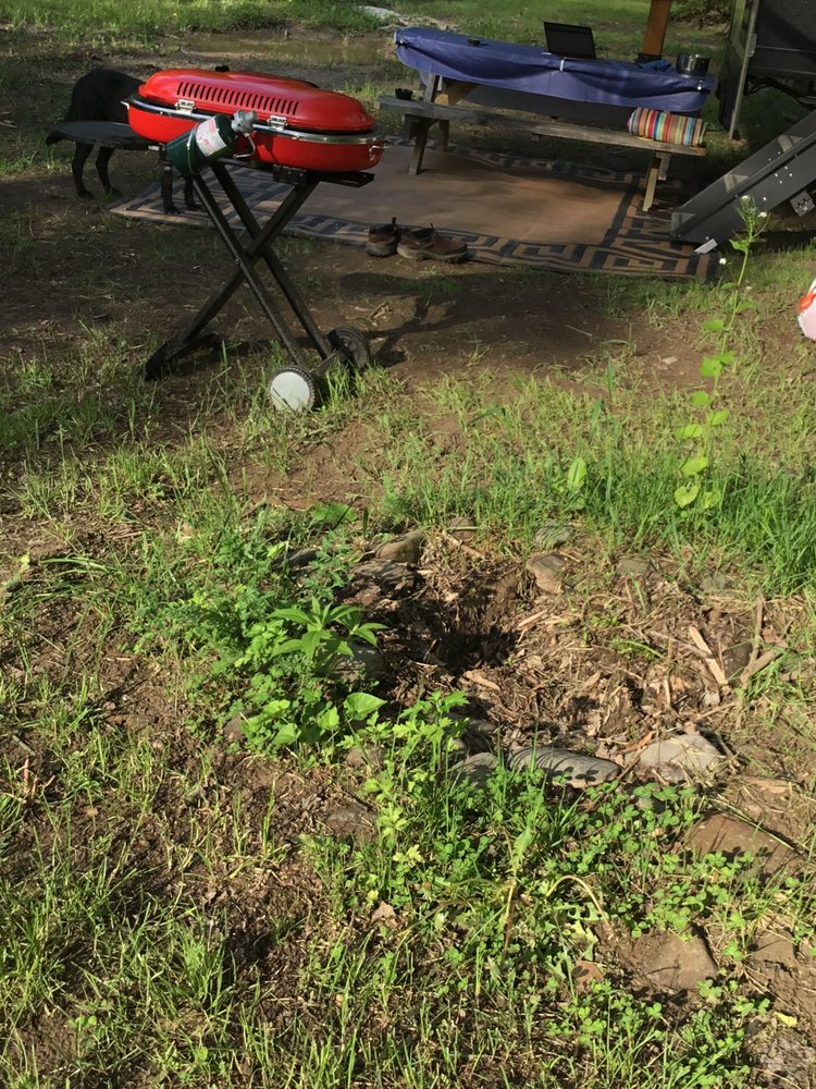 ROSCOE CAMPSITE PARK 30 Photos 2179 Old Rt 17, Roscoe, New York