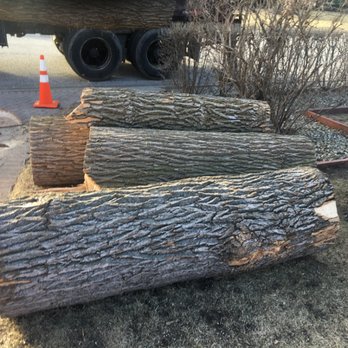 Leo's firewood - Good wood to burn - Firewood Near Me