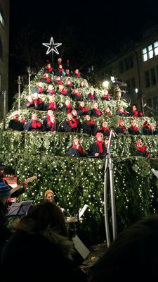 Singing Christmas Tree by null