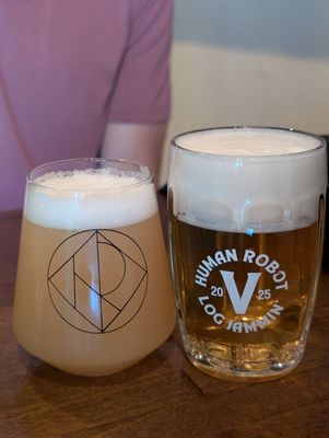 Human Robot Girard by null