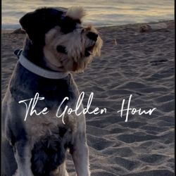 Rodeo Beach - The Golden Hour.
