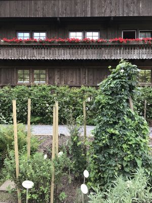 Black Forest Open Air Museum by null