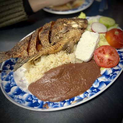 La Flor Blanca by null