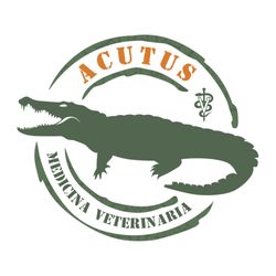 Acutus