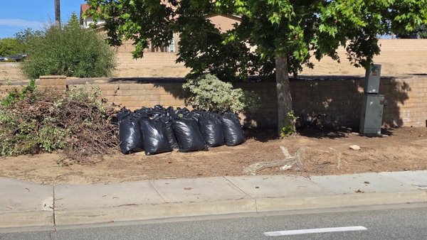 Waste to space - The customer was literally three blocks away. Off of Rancho California Road. Once I arrived, I was done in 20 minutes. Customer was happy. I got there quickly  and got it done quickly. The customer and I plan on doing work again sometime in the near future. Waste to space - The customer was literally three blocks away. Off of Rancho California Road. Once I arrived, I was done in 20 minutes. Customer was happy. I got there quickly  and got it done quickly. The customer and I plan on doing work again sometime in the near future.