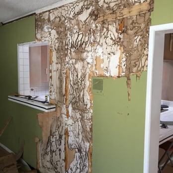 Thumbs Up Pest & Termite Control - Subterranean Termite Infestation - Pest Control Near Me - Duarte, California Thumbs Up Pest & Termite Control - Subterranean Termite Infestation - Pest Control Near Me - Duarte, California