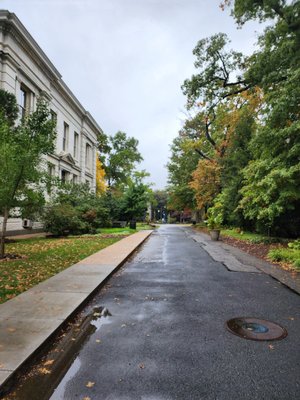 American University by null
