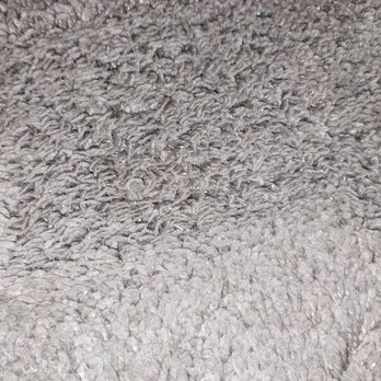 Five Star Home Services - Sawdust in carpets - Home Cleaning Near Me - Millersville, Maryland