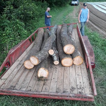 Mountain Views Tree Service - Hauling logs off on a clean up job - Tree Services Near Me Mountain Views Tree Service - Hauling logs off on a clean up job - Tree Services Near Me