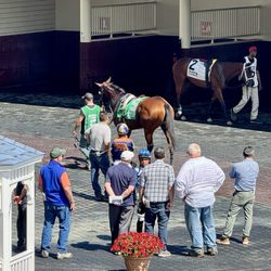 Aqueduct Racetrack