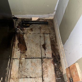 Mold Technical Services - Environmental Testing Near Me Mold Technical Services - Environmental Testing Near Me