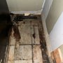 Photo of Mold Technical Services