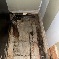 Mold Technical Services