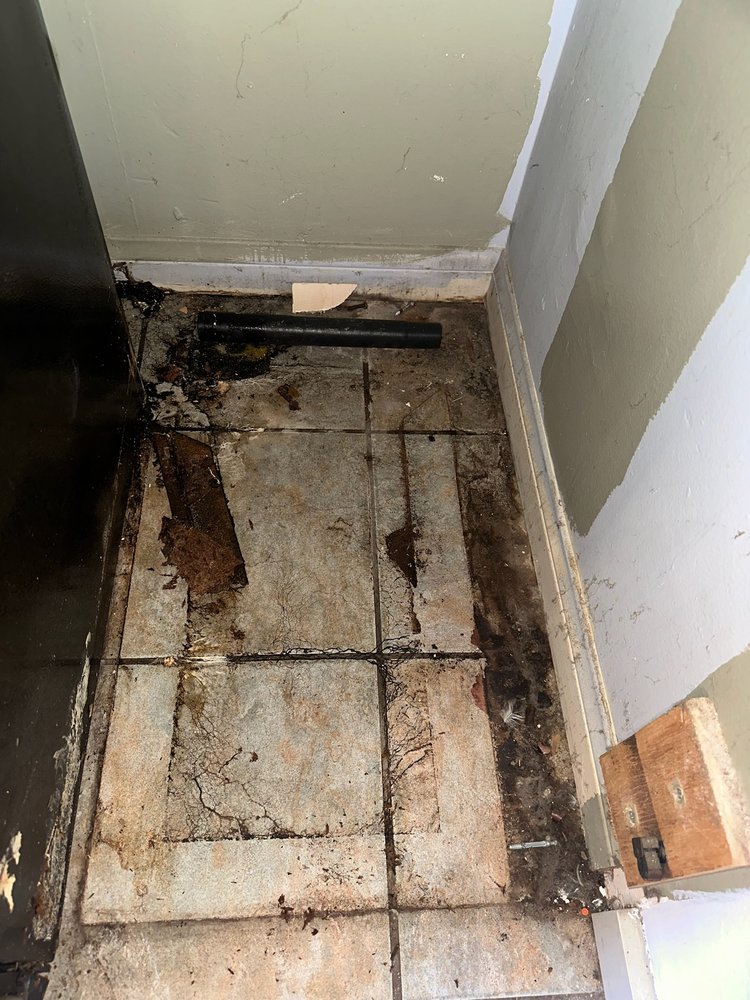 Mold Technical Services - mold inspector in Rancho Palos Verdes, CA