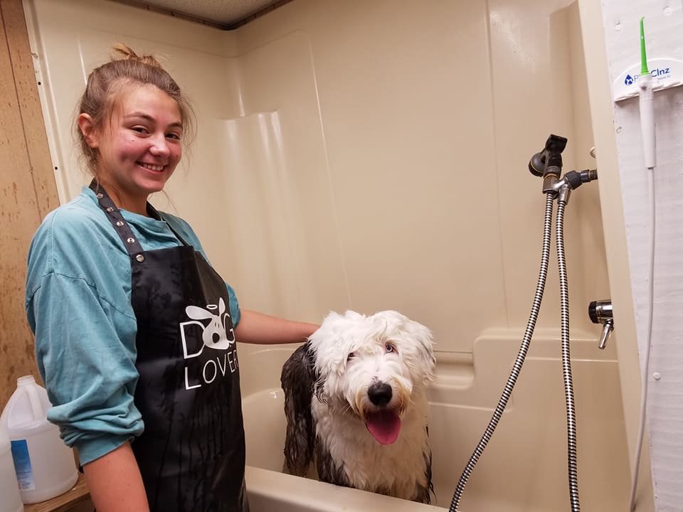 LUCKY DOG GROOMING Updated October 2024 1211 Foxon Rd, North