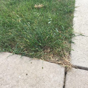 TruGreen Lawn Care - After a full season of "treatment" by TruGreen - Tree Services Near Me - Peoria, Illinois