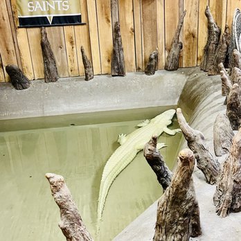 Airboat Adventures - Boat Tours Near Me - Lafitte, Louisiana