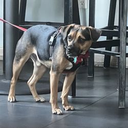 user provided Coffee District photo