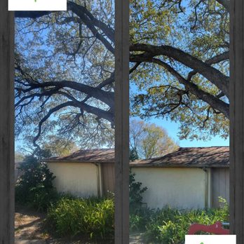 Tampa Tree Works - Tree Services Near Me Tampa Tree Works - Tree Services Near Me
