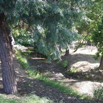 Markham Nature Park & Arboretum - part of the creek - Parks Near Me - Concord, California