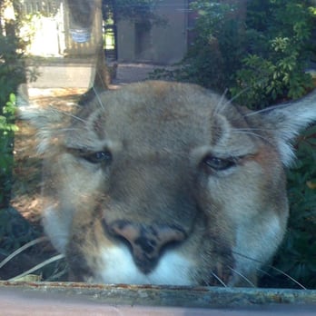 Naples Zoo - Zoos Near Me - Naples, Florida