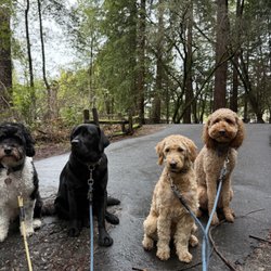 The Familiar Pet Sitter