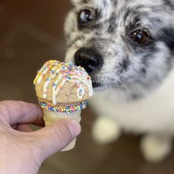 Muddy Paws Self-Wash Pet Supplies and More