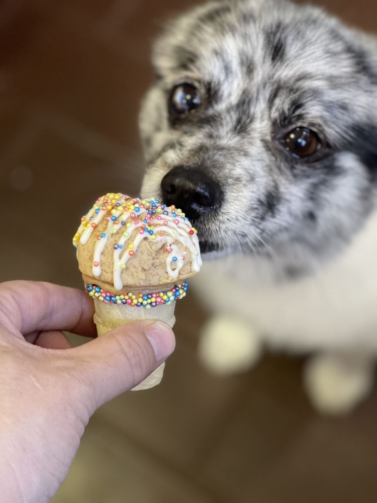 MUDDY PAWS SELFWASH PET SUPPLIES AND MORE Updated September 2024