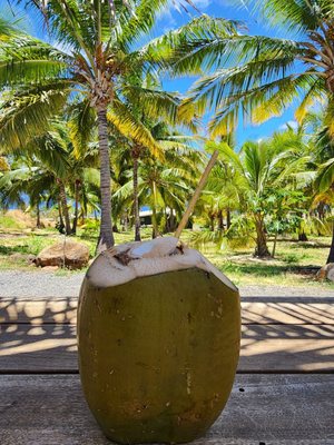 Punakea Palms by null
