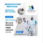 Photo of Greenest Company Cleaning Services