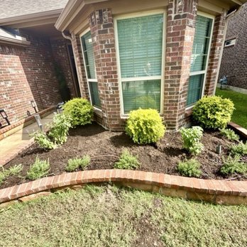Moon Valley Nurseries - Nurseries & Gardening Near Me - McKinney, Texas