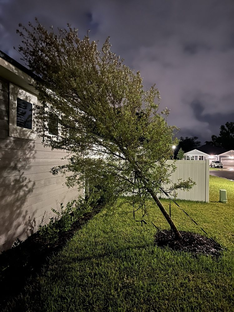 MATTAMY HOMES OLDE MANDARIN ESTATES Updated July 2024 10493 Melody Meadows Rd