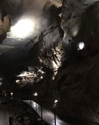 Aillwee Burren Experience by null