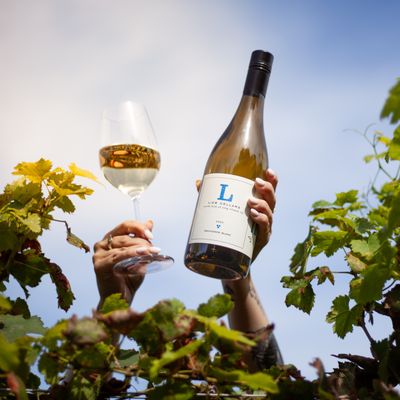 Suhru & Lieb Vineyards by null