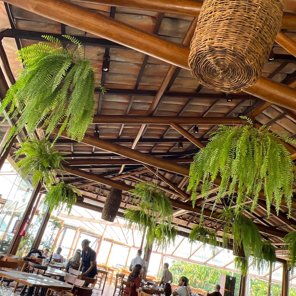 Maremonti - The fern give a nice touch to the environment - Italian Near Me - Bertioga, SP