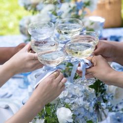 Luxury Picnics SF - Cheers to something blue before "I do"!