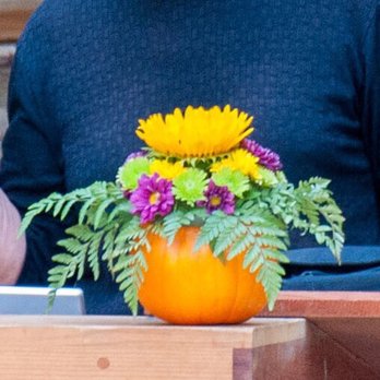 Big Sur Flowers - Lil' pumpkin floral arrangements we did on our own. - Florists Near Me Big Sur Flowers - Lil' pumpkin floral arrangements we did on our own. - Florists Near Me