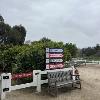 Underwood Farm Market - Fruits & Veggies Near Me - Somis, California Underwood Farm Market - Fruits & Veggies Near Me - Somis, California