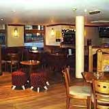 Theodore Bullfrog by null