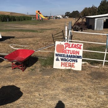 Joan's Farm & Pumpkin Patch - Copy That! - Pumpkin Patches Near Me - Livermore, California
